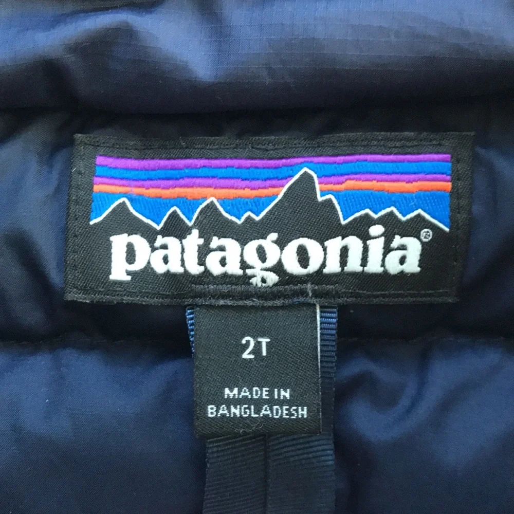 Patagonia Puffer Jacket (size 2T)